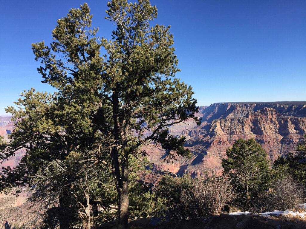 Grand Canyon