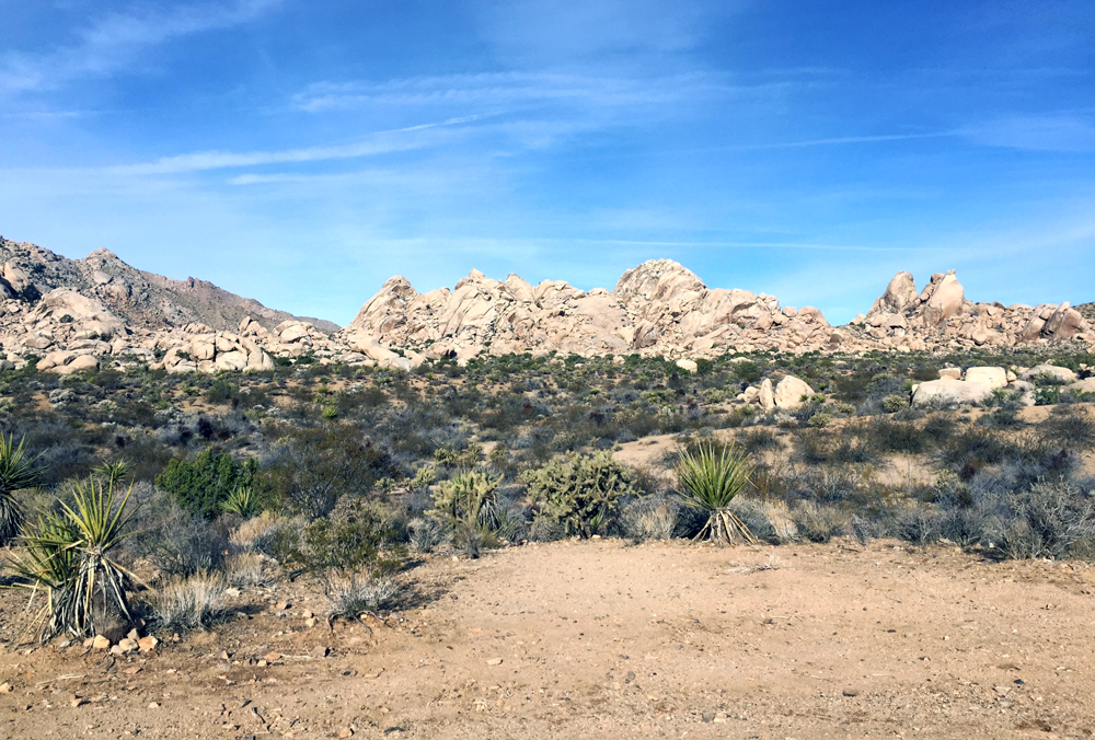 Mojave desert