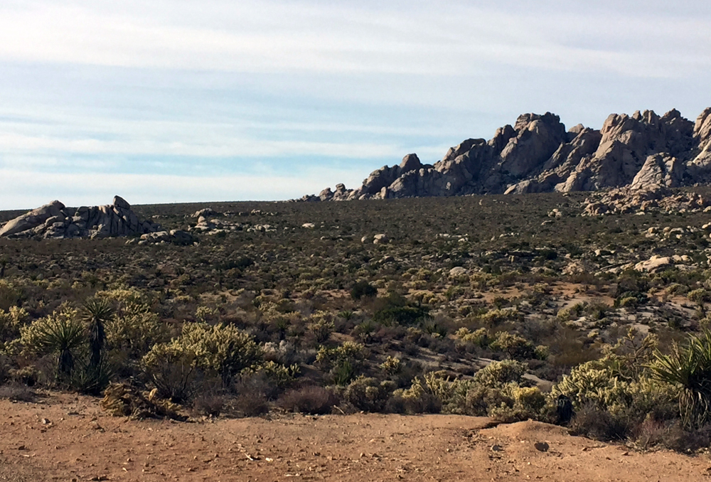 Mojave desert