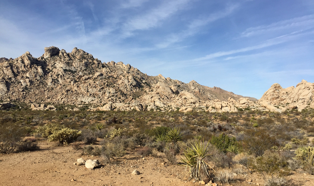 Mojave desert